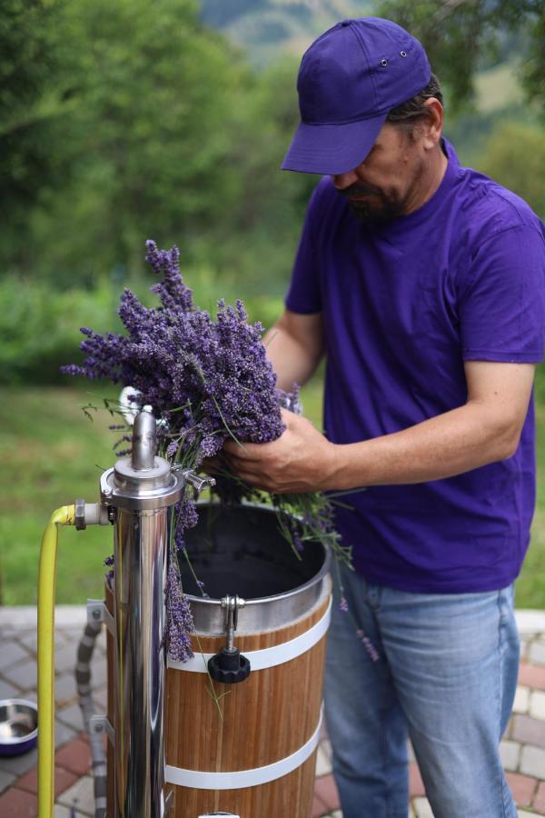 Lavender Valley Perekrestnoye Luaran gambar