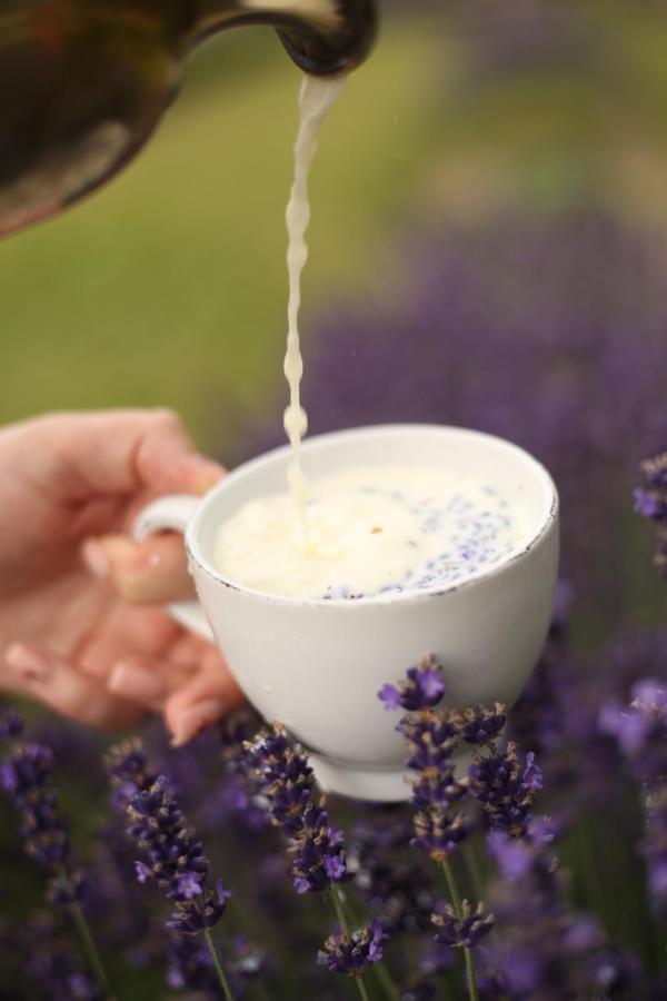 Lavender Valley Perekrestnoye Luaran gambar